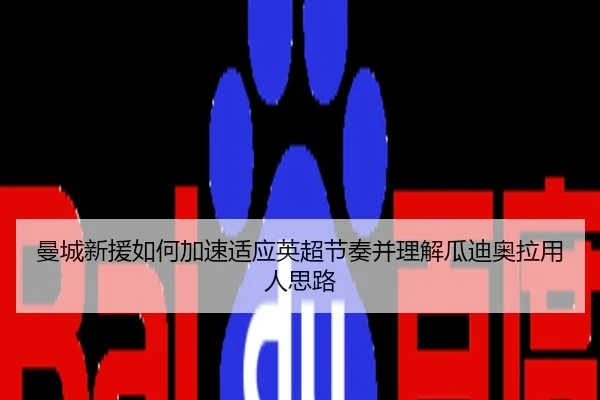 曼城新援如何加速适应英超节奏并理解瓜迪奥拉用人思路